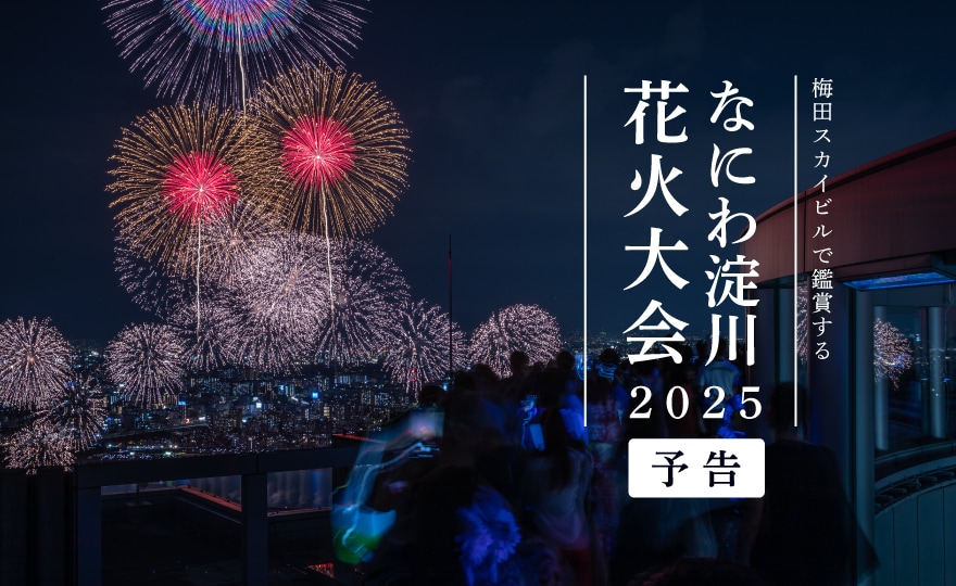 なにわ淀川花火大会 鑑賞プラン