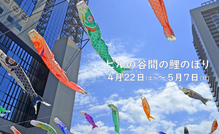 ビルの谷間の鯉のぼり