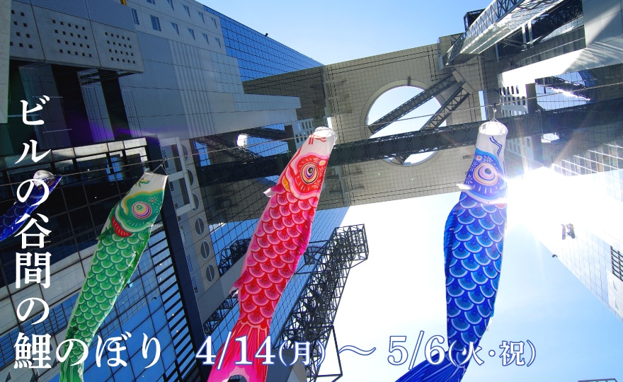 ビルの谷間の鯉のぼり