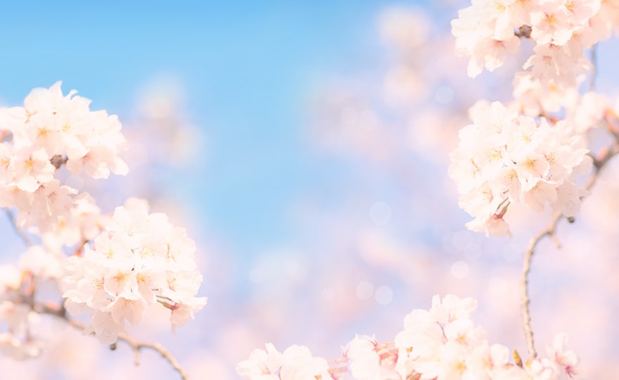 空中庭園 Congratulations on your Spring 2020 - きみの春を祝ってくれる大阪の街を眺めよう -
