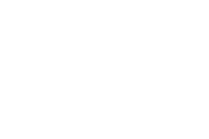 The Circus of Light ~夜空にきらめく 幻想のサーカス~