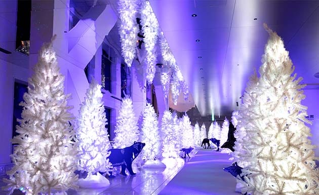 空中庭園 Xmas 2024 Dreamin' girl Clara's another story