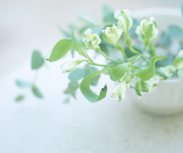 Umeda Sky Building Clinic Center Tower East 7F